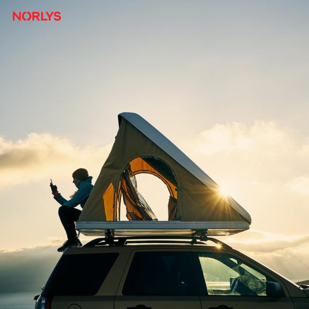 Nordlys (migrering)